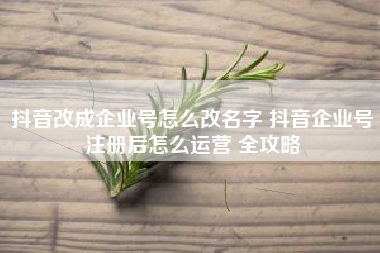 抖音改成企业号怎么改名字 抖音企业号注册后怎么运营 全攻略