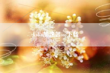 koko加速器ios下载 koko加速器ios下载